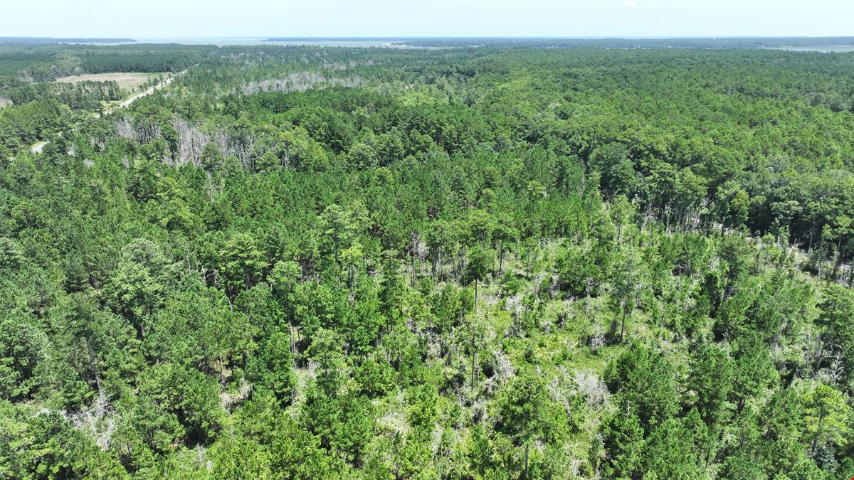 430 Development Acres in McIntosh County Georgia