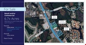 Two Parcels for Sale in Land O'Lakes, FL