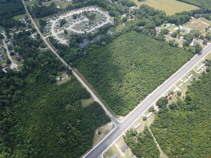 Alligator Rd