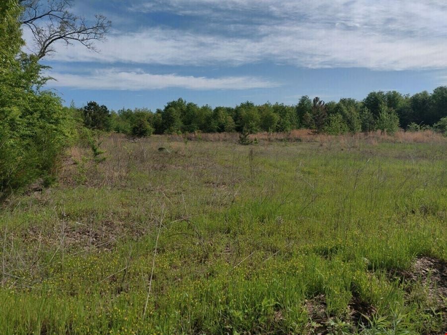 2250 Brandon Dr