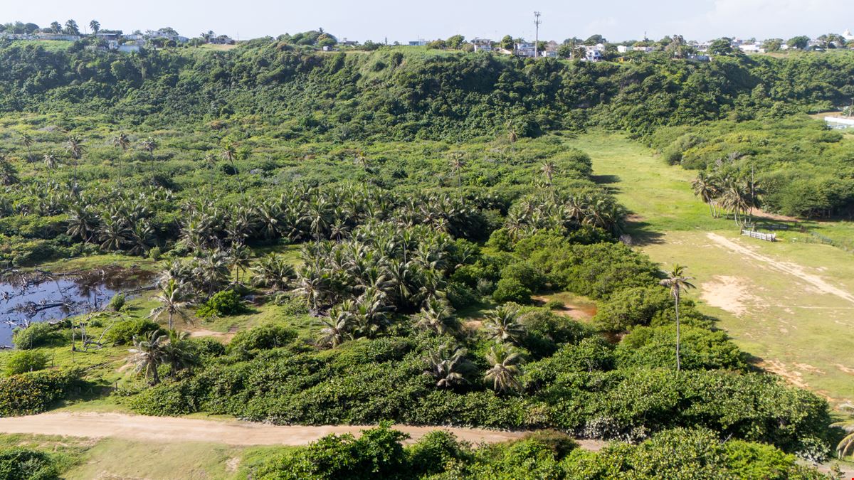 Coastal Property of 9.71 Cuerdas in Las Dunas, Isabela - FOR SALE