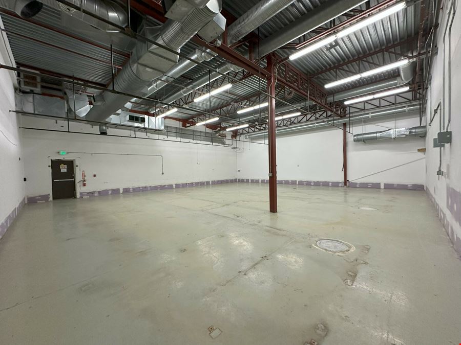 Light Industrial/Flex Building