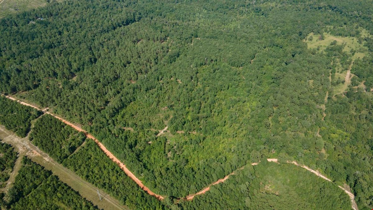 ±34 Acres | Salley, SC