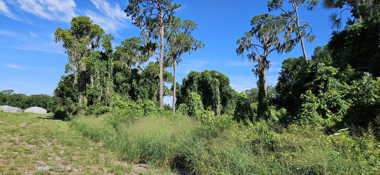 18 Acres of Lakefront Opportunity | Nursery, Farm, or Estate Development