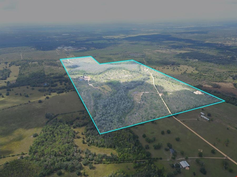 Ranch, Hunt & Invest: 280± Acres of Productive Timberland in SE Washington County