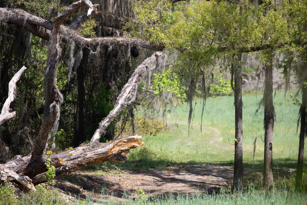 Alachua FarmLife