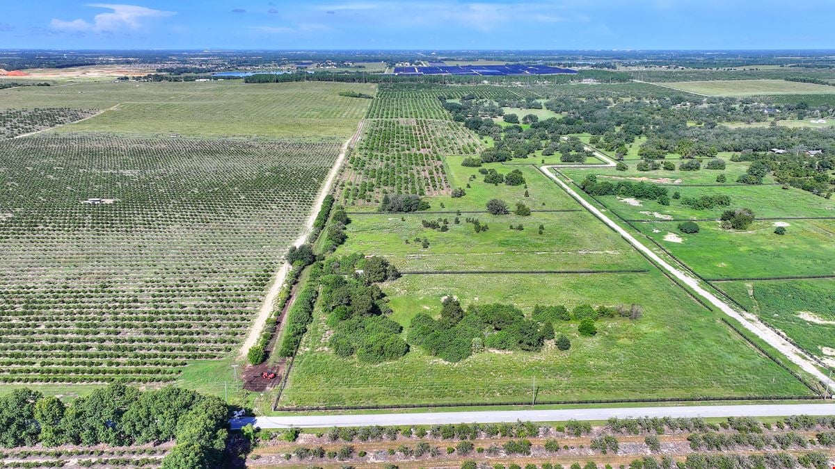 St. Helena Road 20 Acre Grove
