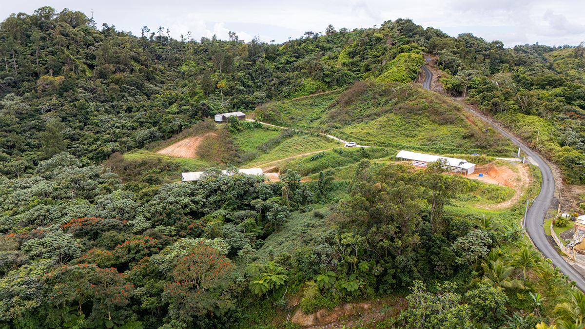 Turnkey Agricultural Operation w. Eco Tourism Potential @ Hacienda Montesol - For Sale