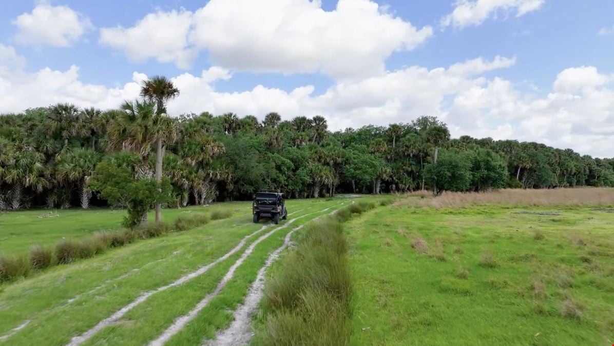 Palm Hammock Preserve