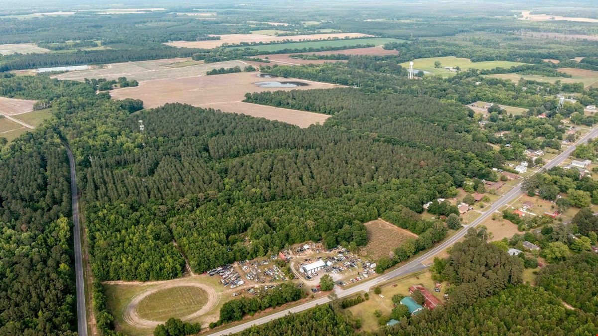 51.46 Acres of Land FOR SALE in Olar, SC