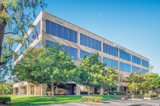 Preview of Office space for Rent at 4910 Birch Street
