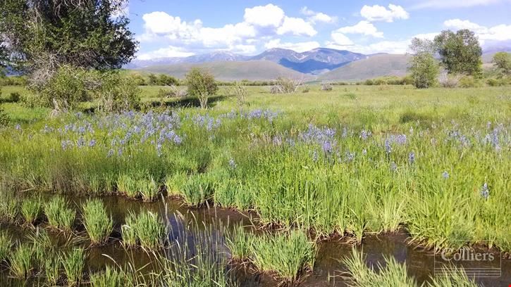 Stauffer Creek Ranch