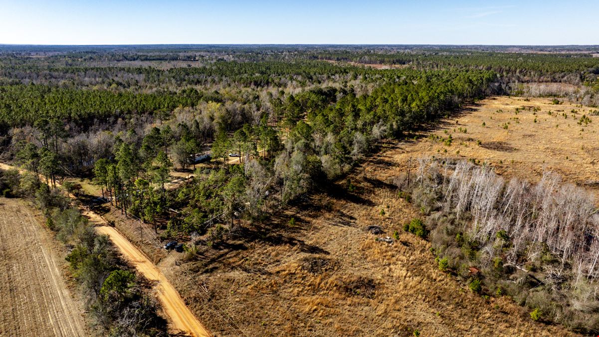 Toombs County 22 ± Acres