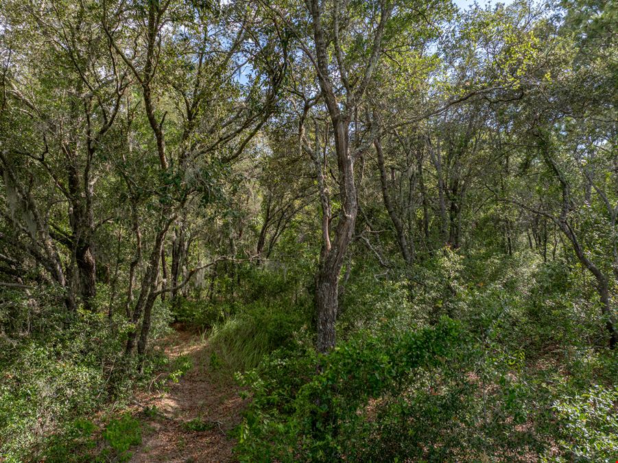 Floral City 205 Acres
