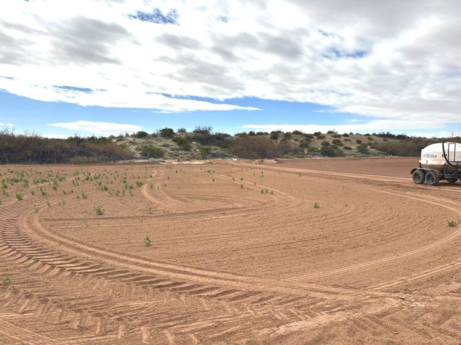 68.9 Acres with Farm Land - Avenue 43 E