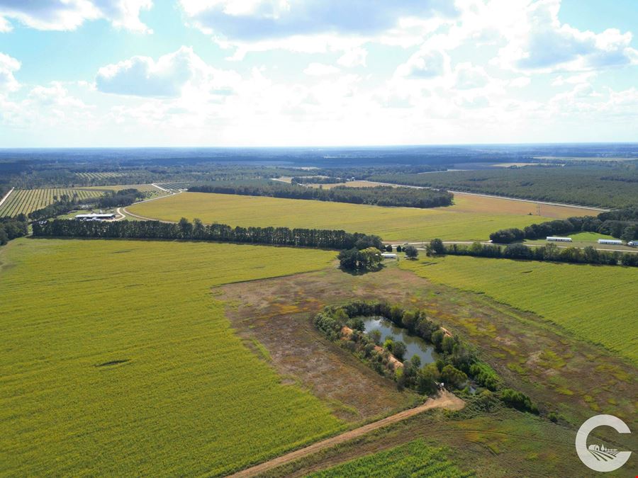 671 +/- Acres of Certified Organic Farmland in Decatur County, GA