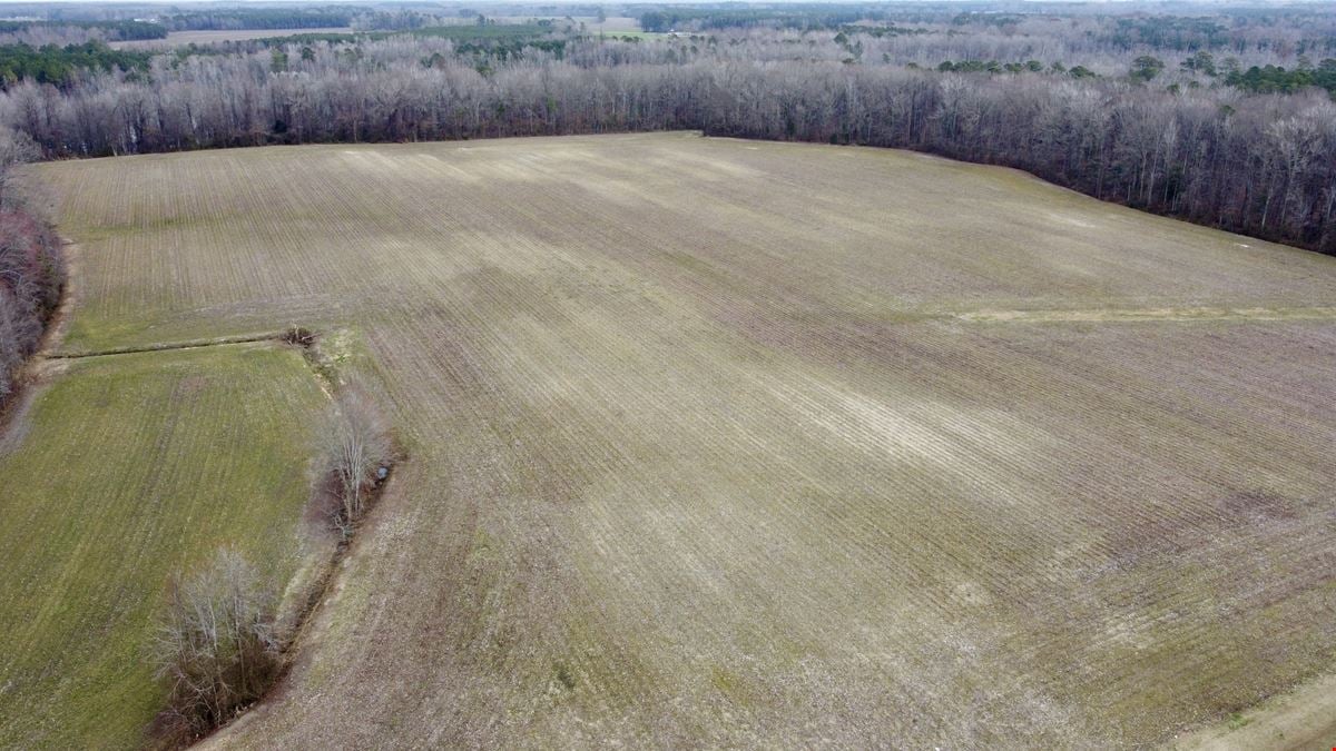Ross Road 86 Acre Tract