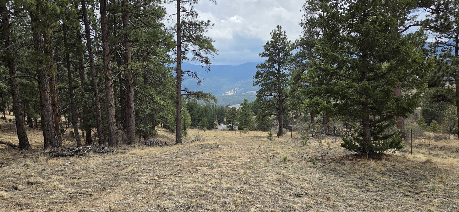 15+ Acres of Commercial Land