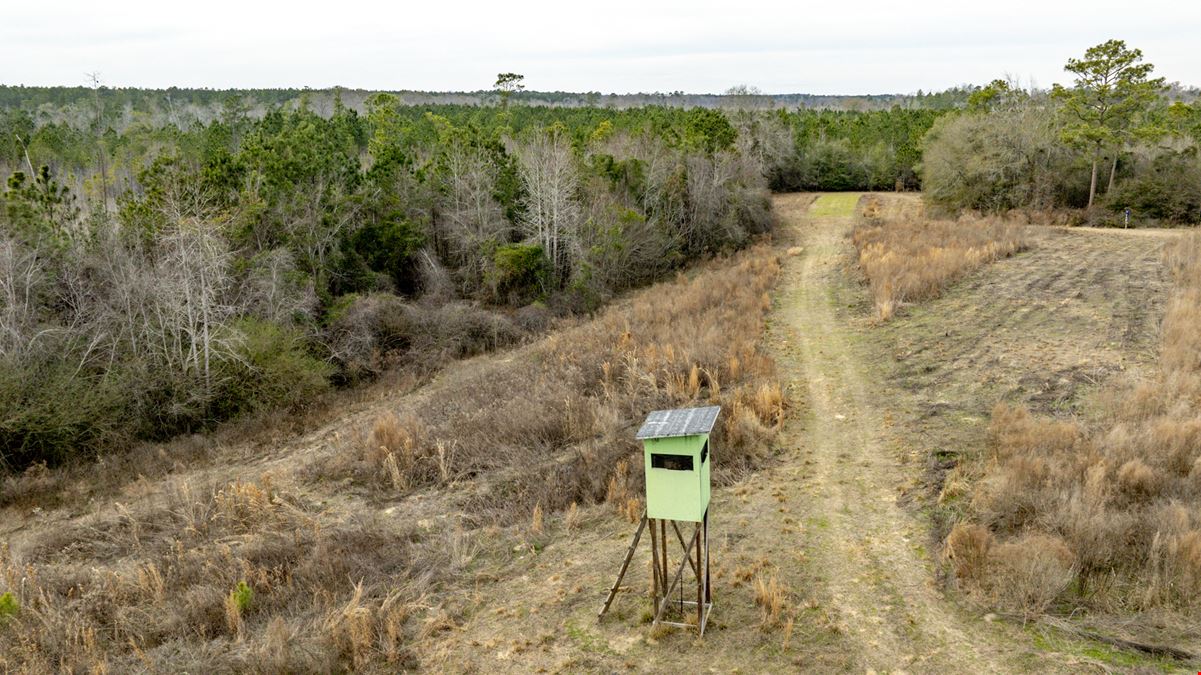 Telfair Tract 1