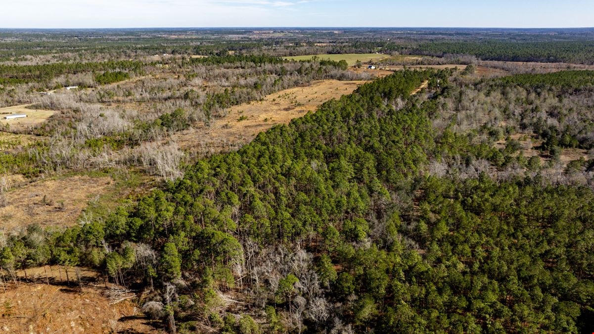 Toombs County 22 ± Acres