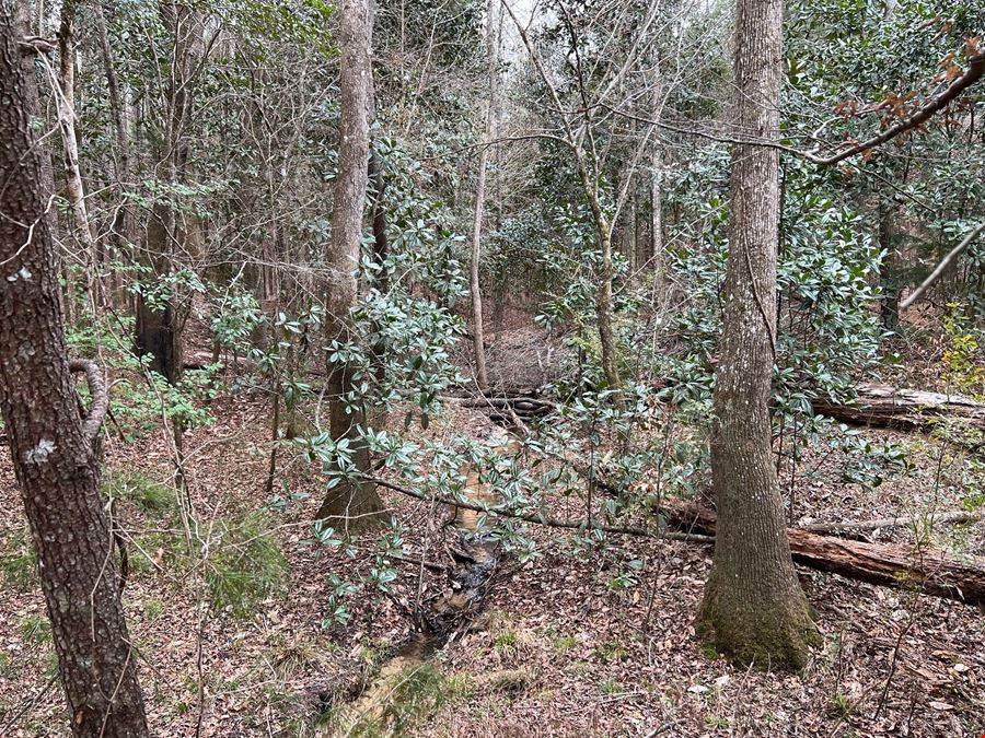 89 Acres in Early County, GA : Riverfront Property with Cabin and Outstanding Hunting Land