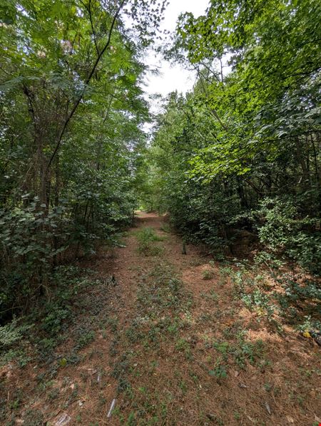 Preview of VacantLand space for Sale at McNeill Lake Rd