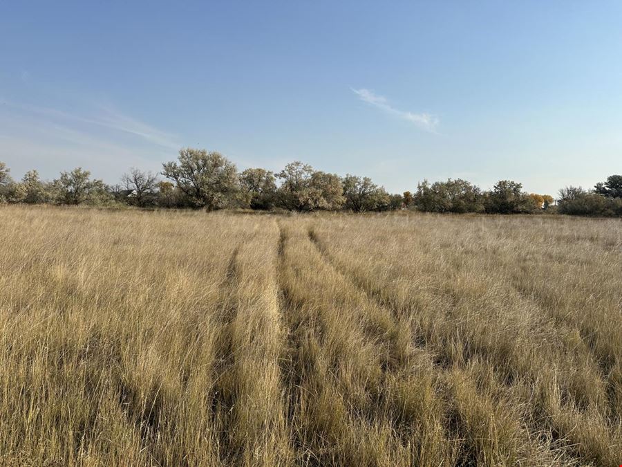 10± Development Acres Off Billings Arterial Road