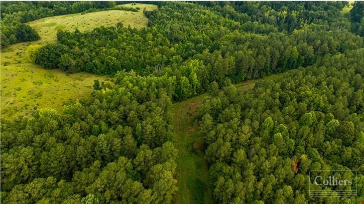 ±97.79 Acres Ready for Development in Spartanburg County