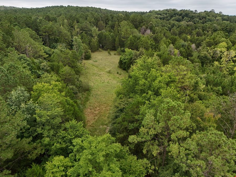 Craig Hill Hunting & Timber Tract