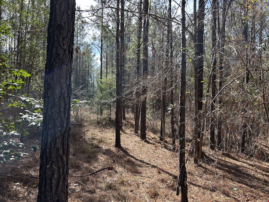 Garland Belmont Tract