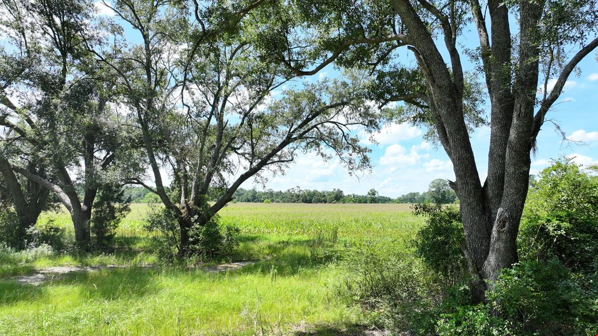 Graceville Duck Pond Farmland