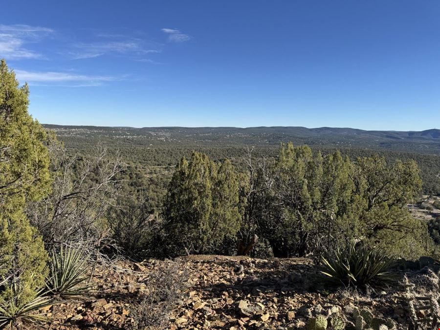 201 Pinon Trail