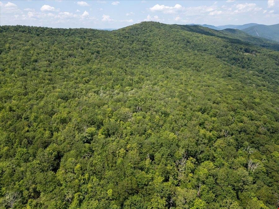 173 ACRES MOUNTAIN-SIDE LAND