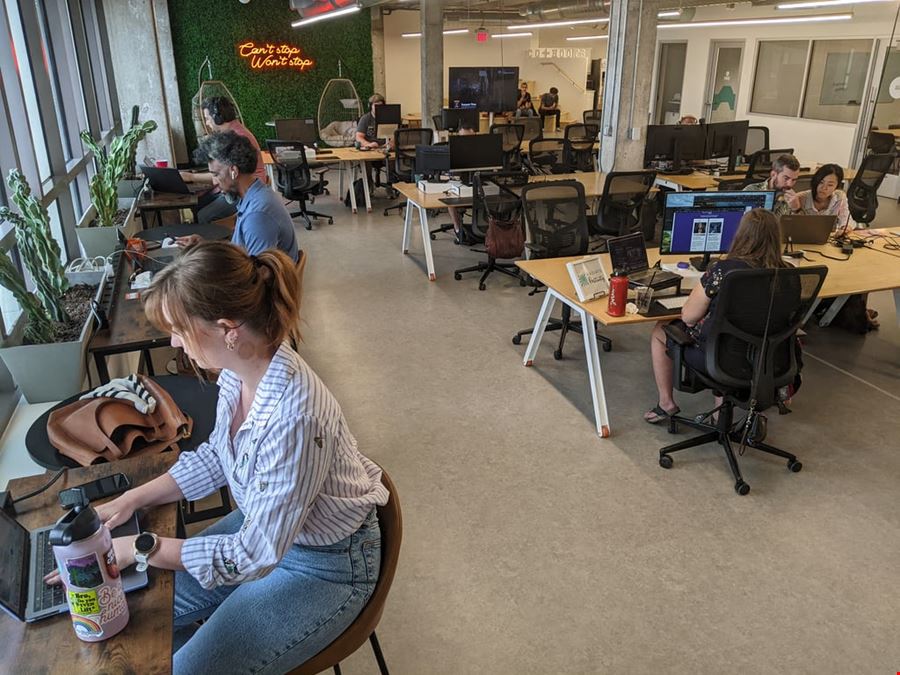 CO+HOOTS Coworking Mesa