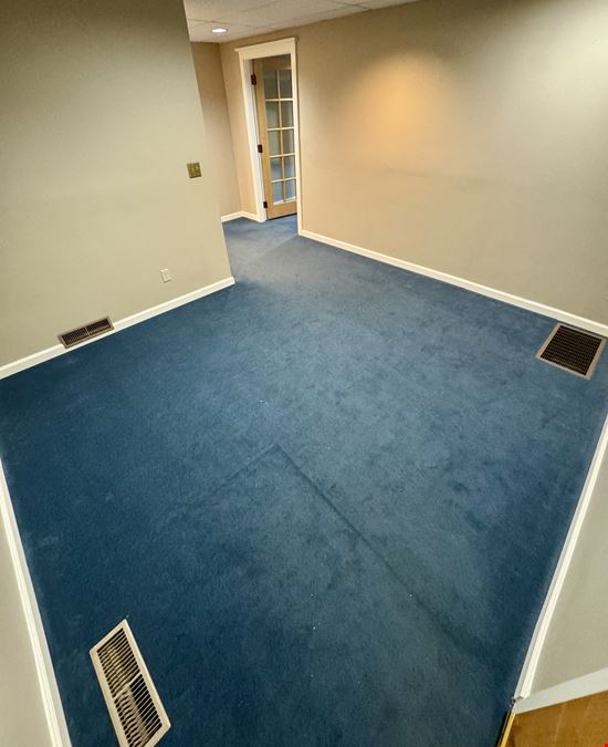 Professional Office