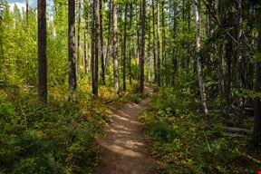 451 Buildable Acres in Montana's Lone Lake Country