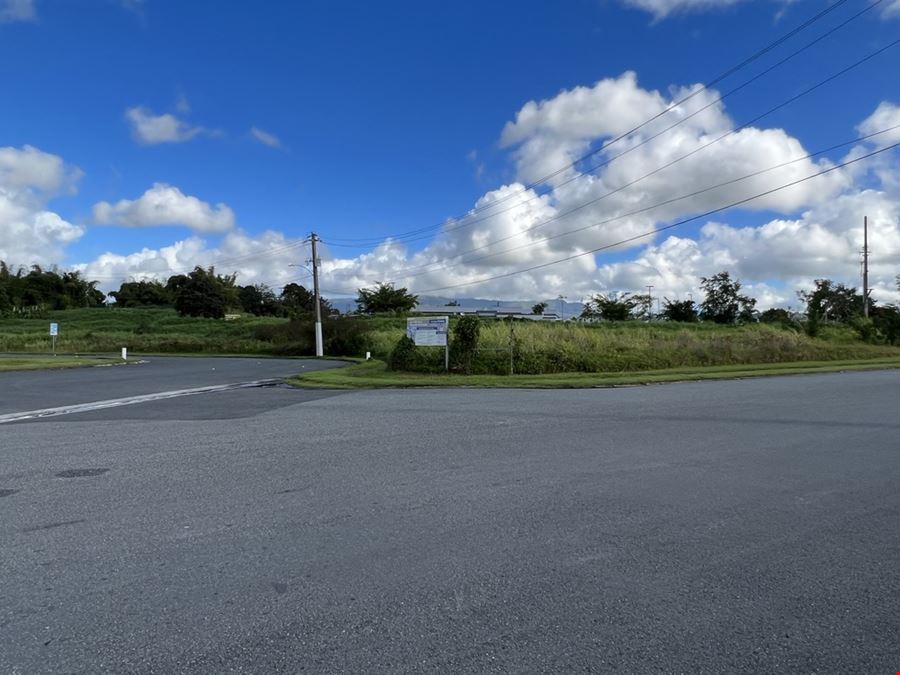 Las Piedras Industrial Park - Lots 1 & 2 - For Sale