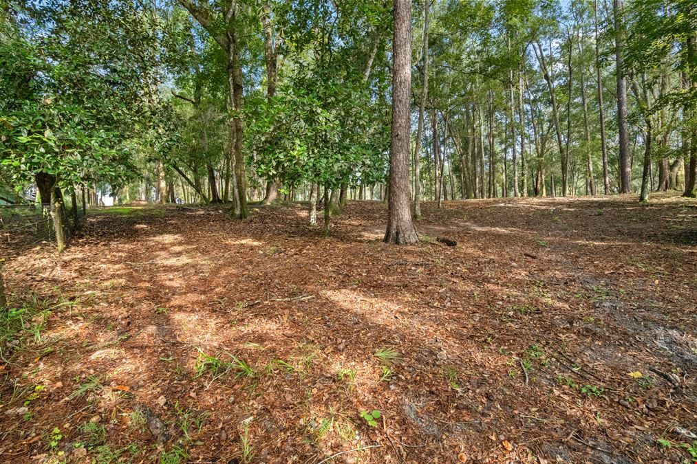 Brooksville 5 Acre Tract