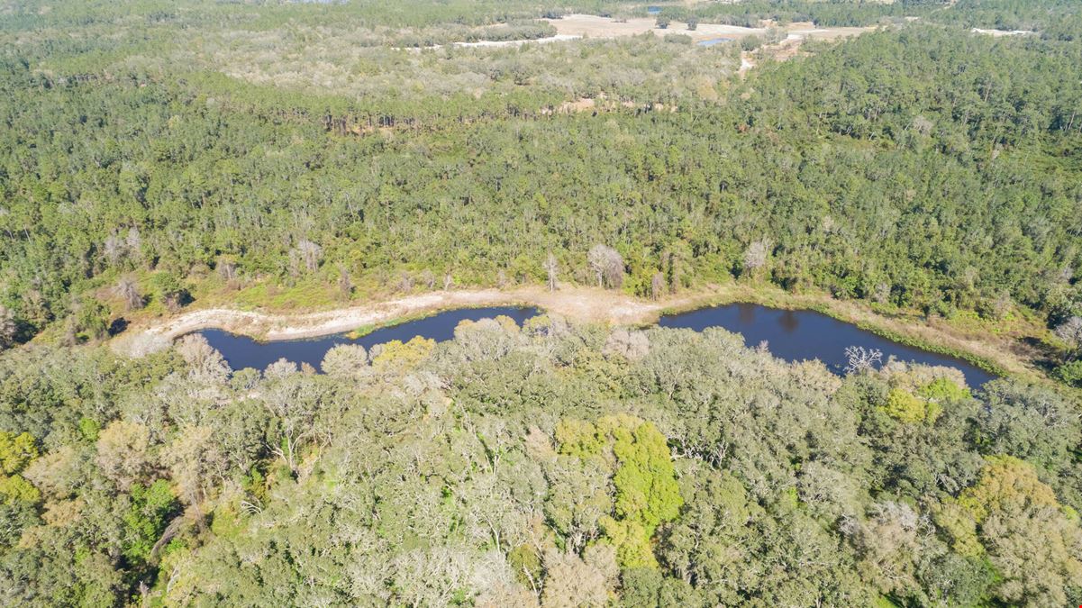 Shaw Lake Rd