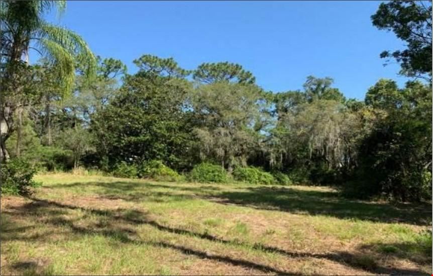 2.18 AC :: Residential land :: Citrus Park