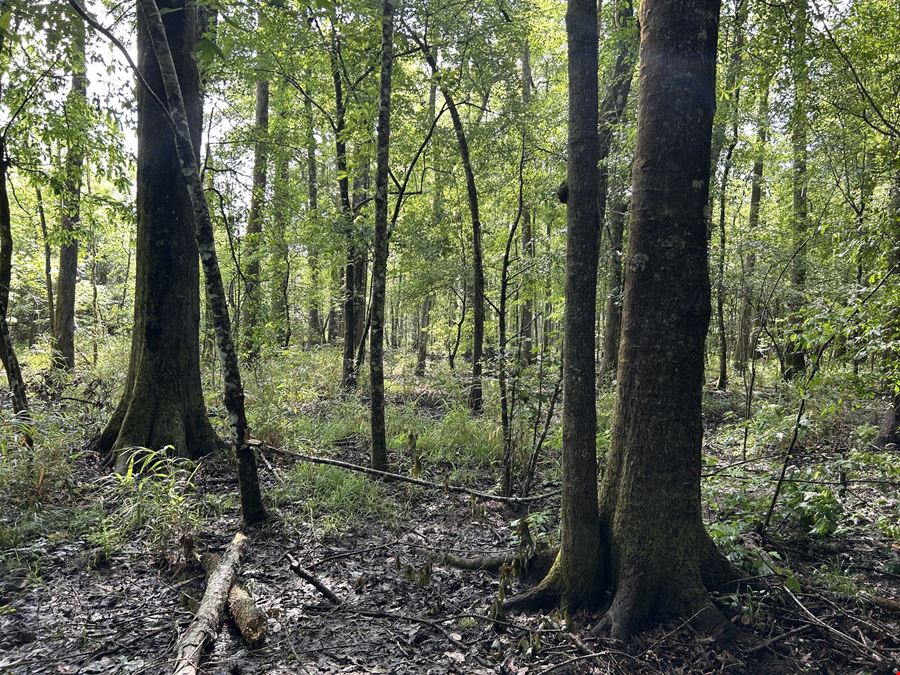 Fox Pen Tract