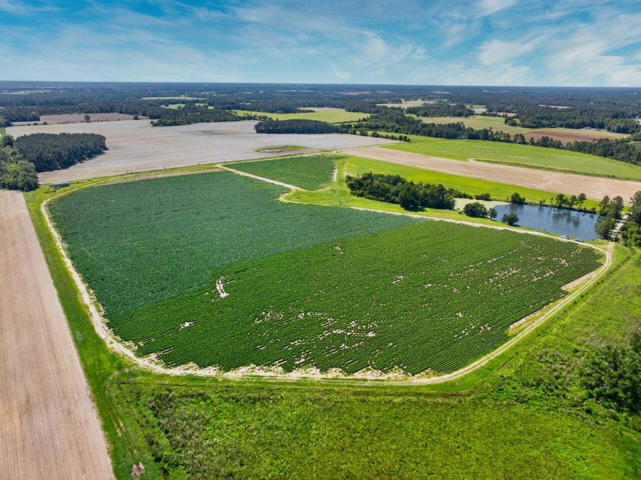 Ellenton Irrigated Farm
