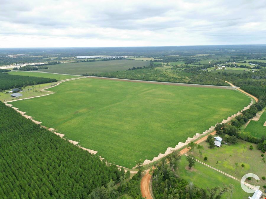 385 +/- Acre Rocky Creek Tract in Marianna, FL