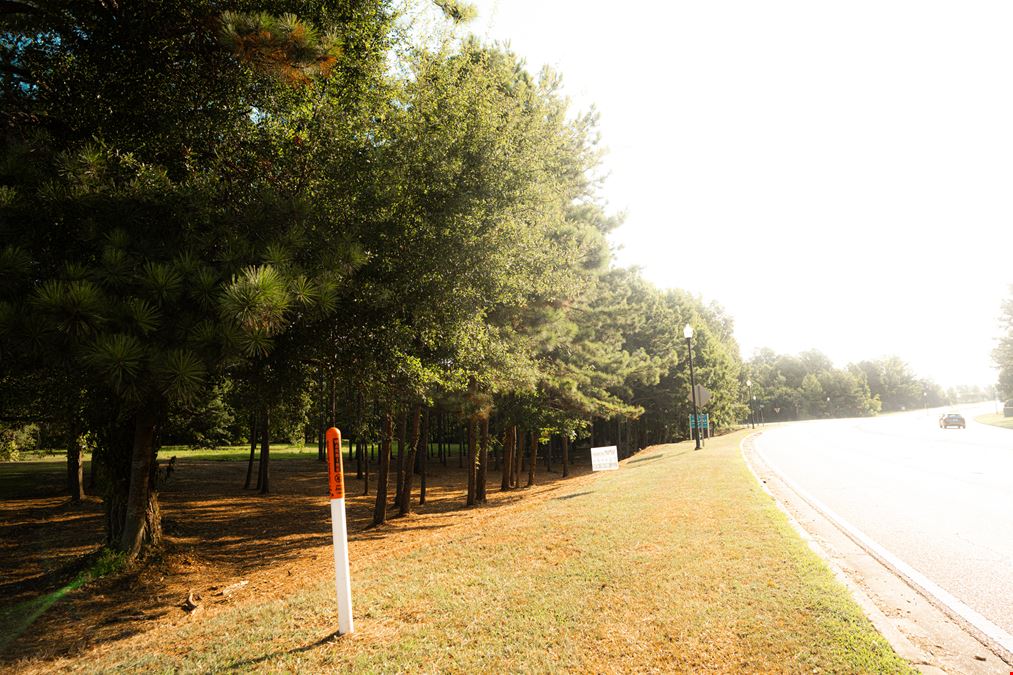 Highland Colony Parkway & Park Place - Corner Lot