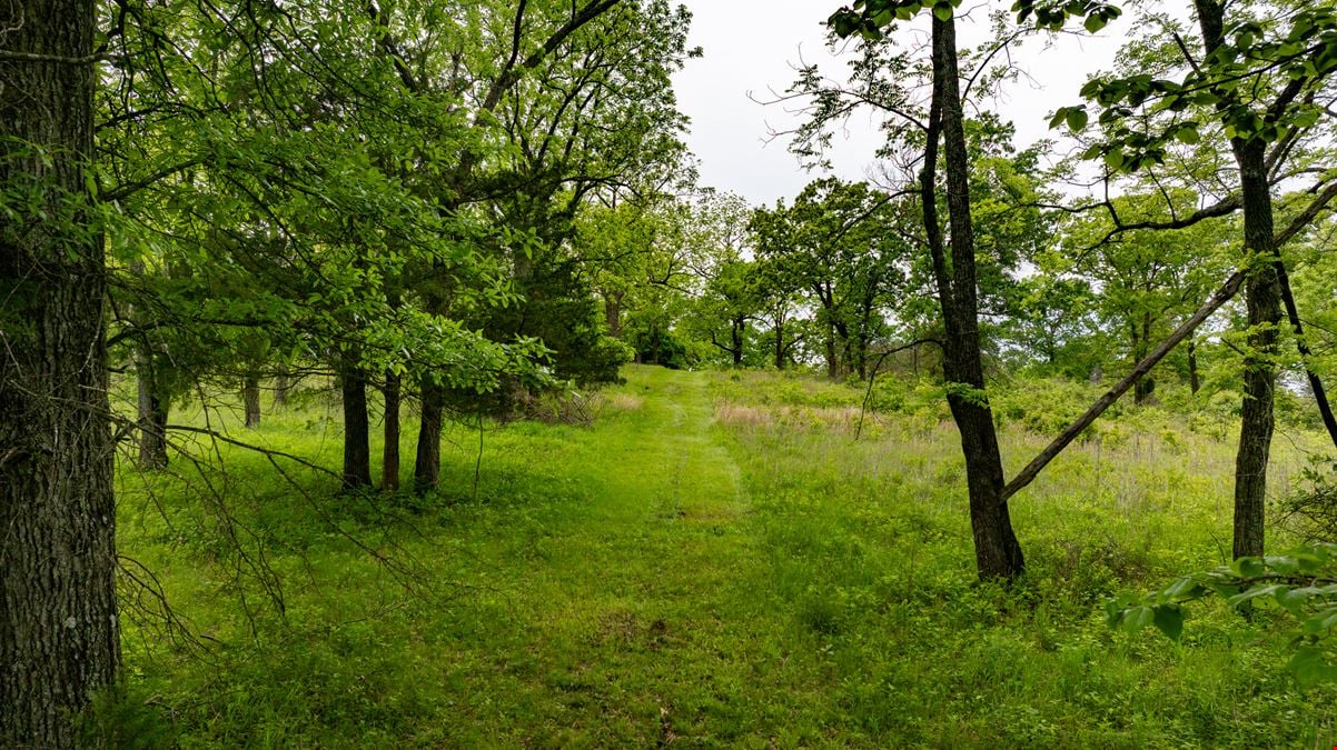 Warsaw Deer & Turkey Farm