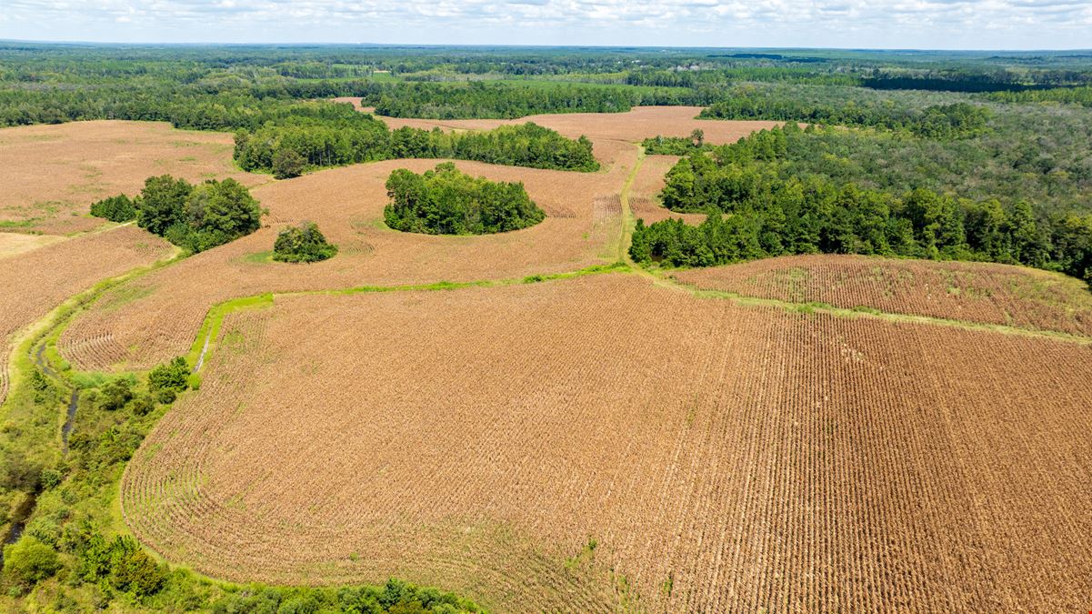 Panhandle Farm and Timberland