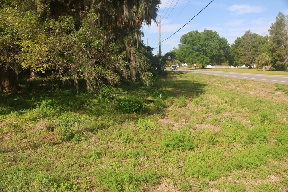 CR-48 and Guava Street Development Land