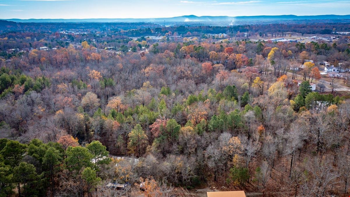 Mountain Pine Development Land