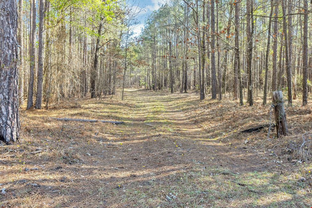Banks Mill Rd SE (36.76 acres)