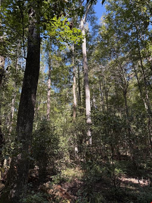 Timber & Recreation Tract